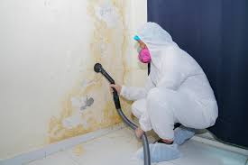 Reliable Folsom, CA Mold Prevention & Removal  Solutions